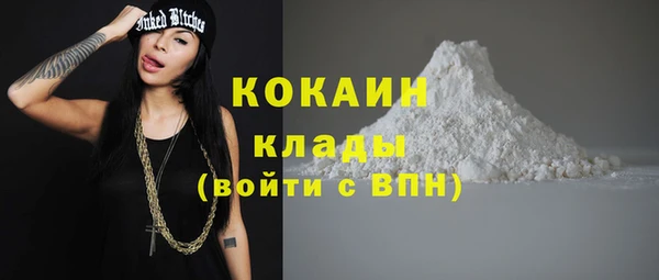 дурь Ладушкин