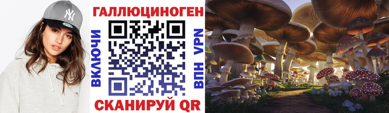 Галлюциногенные грибы мухоморы даркнет сайт Среднеколымск